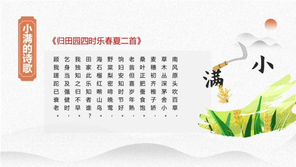 小满节气介绍PPT模板