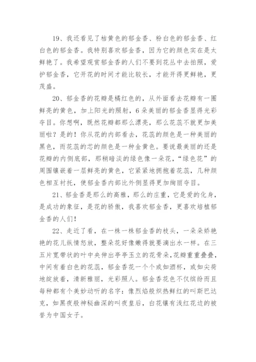 描写郁金香的优美句子.docx