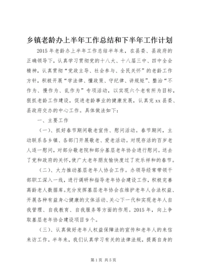 乡镇老龄办上半年工作总结和下半年工作计划.docx