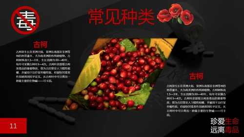 珍爱生命禁毒无毒PPT