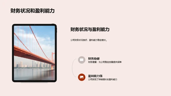 公司发展与投资策略