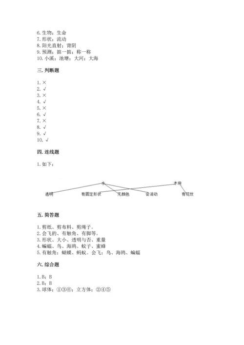 教科版一年级下册科学期末测试卷及答案（新）.docx