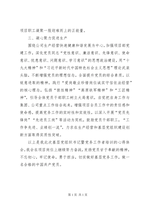 基层党组织书记暨党务工作者培训心得体会 (2).docx