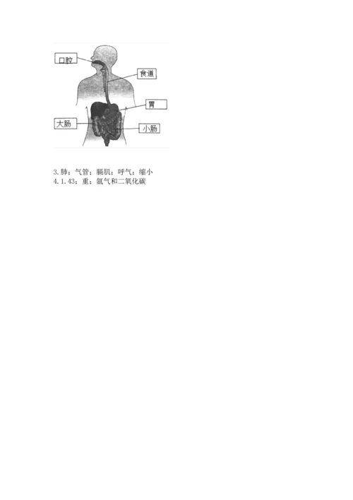 教科版科学四年级上册期末测试卷及答案（最新）.docx