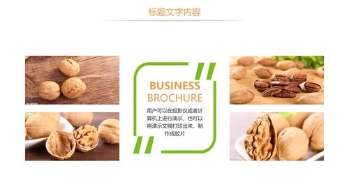 休闲美食美味坚果干果核桃宣传PPT模板