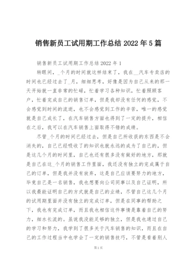 销售新员工试用期工作总结2022年5篇.docx