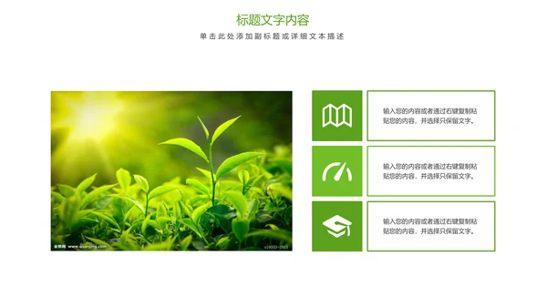 唯美清新绿色茶园茶艺茶文化品茶论道PPT模板