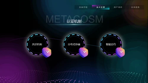 VR元宇宙互联网用户分析报告通用PPT模板