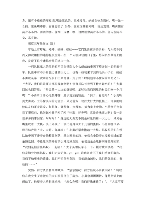 观察三年级作文锦集八篇.docx