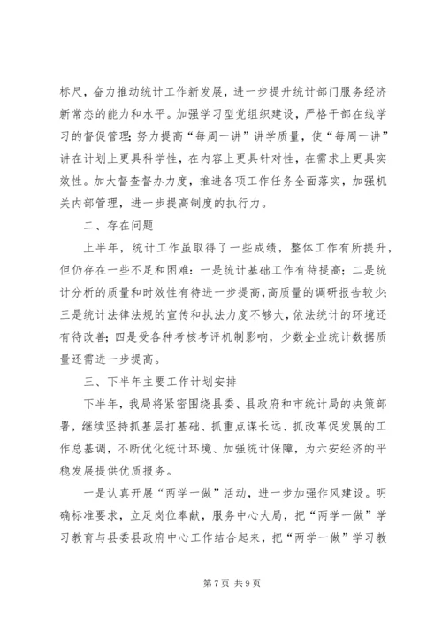 统计局XX年上半年工作总结及下半年工作安排精编.docx