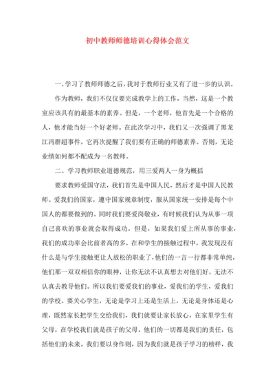 初中教师师德培训心得体会范文.docx