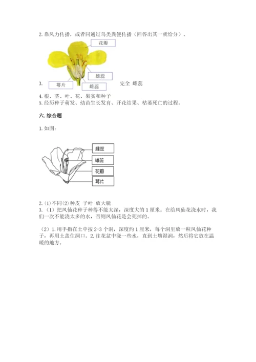 科学四年级下册第一单元《植物的生长变化》测试卷精品【巩固】.docx