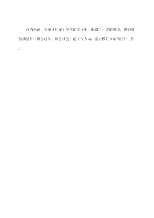 统计局工作上半年总结