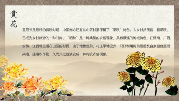 中国风九九重阳节传统文化教学PPT课件