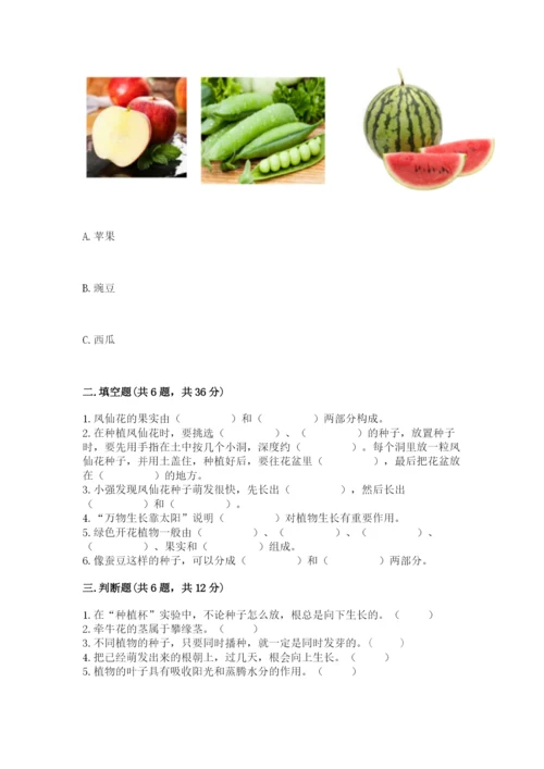 科学四年级下册第一单元植物的生长变化测试卷（达标题）.docx