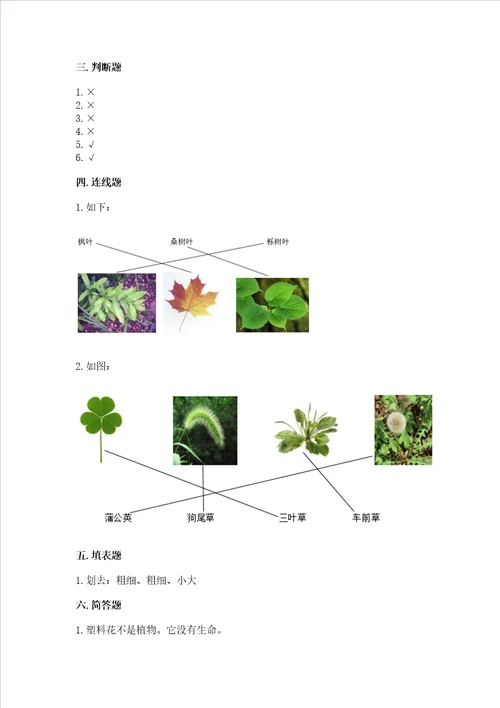 教科版科学一年级上册第一单元植物测试卷含答案a卷