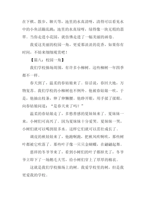 校园一角作文300字大全.docx