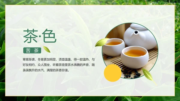 绿色实景茶园茶道科普介绍PPT模板
