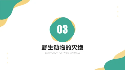 保护野生动物斑马通用PPT模板