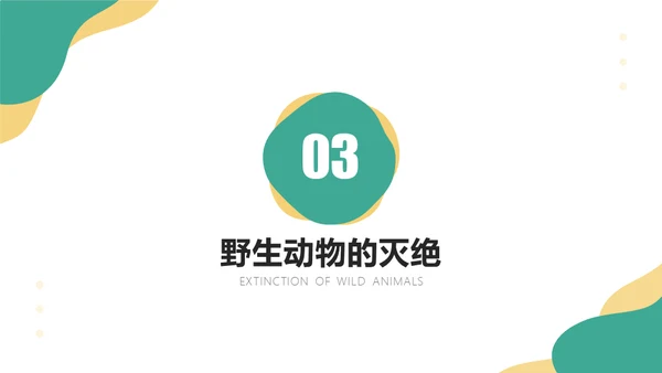 保护野生动物斑马通用PPT模板