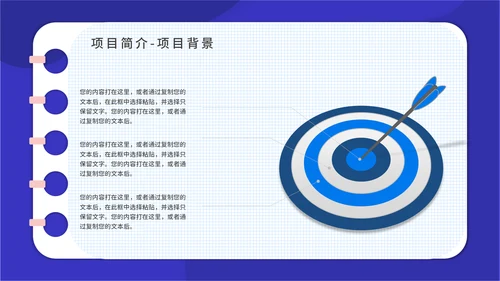 PACA项目实施报告通用PPT模板
