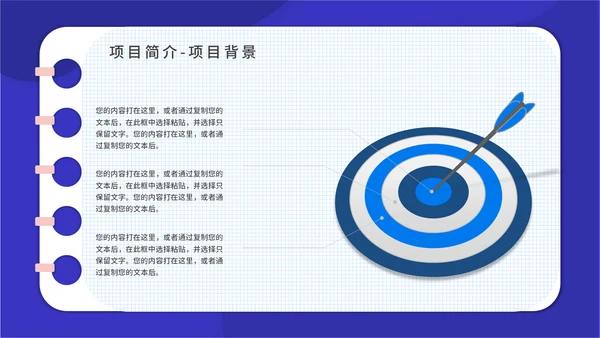 PACA项目实施报告通用PPT模板