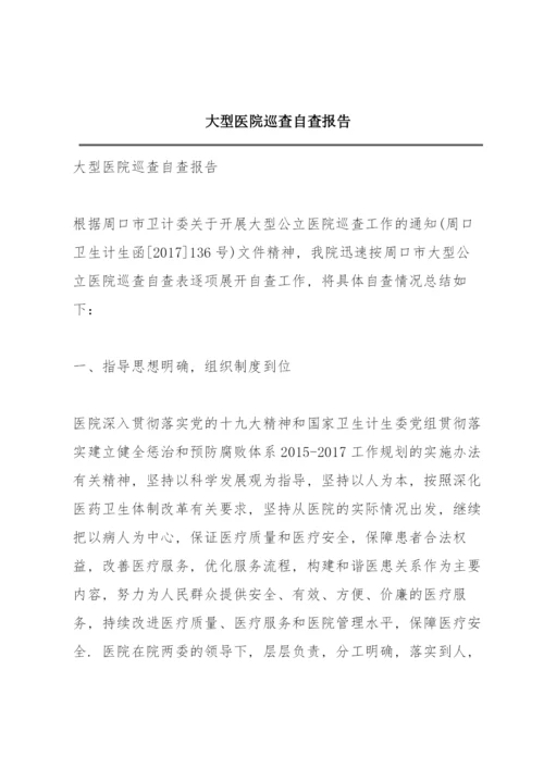 大型医院巡查自查报告.docx