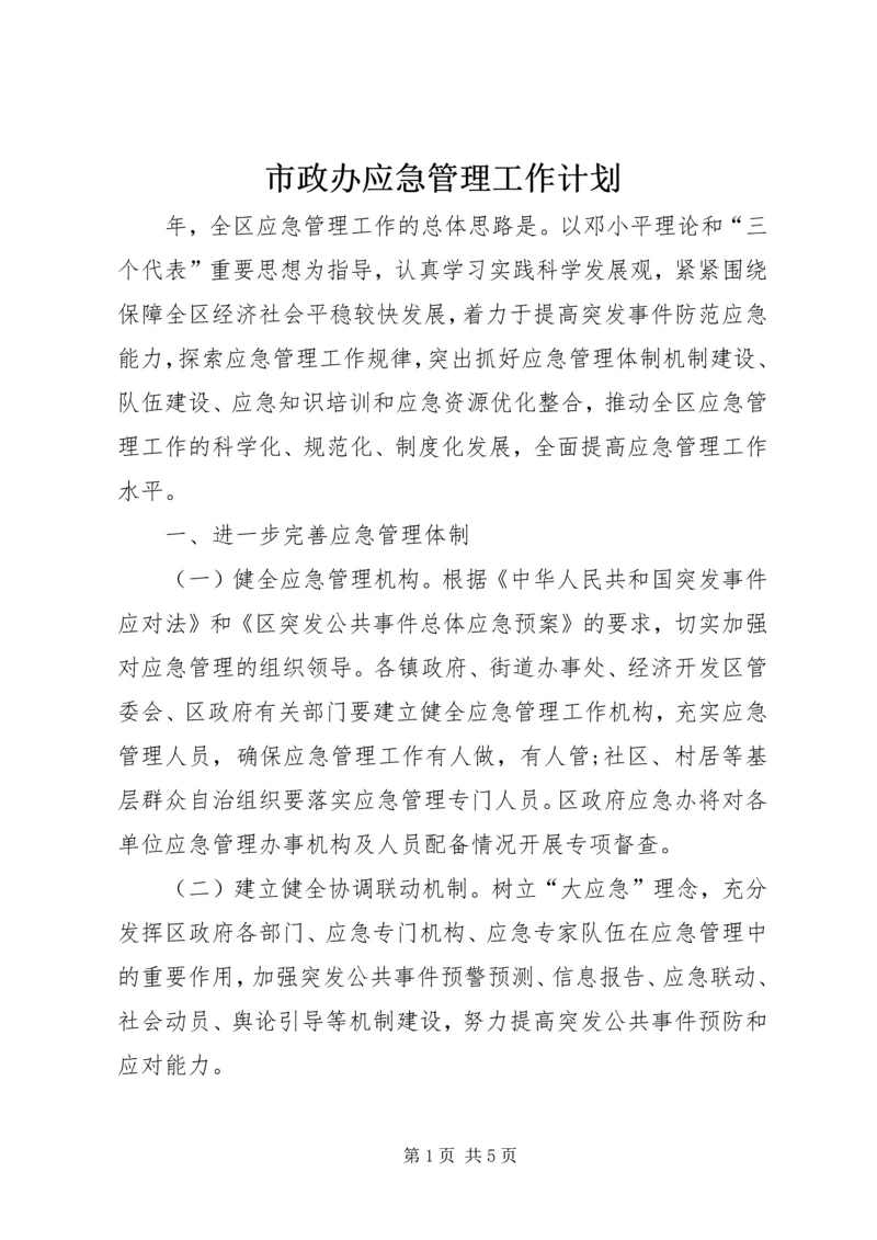 市政办应急管理工作计划.docx