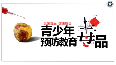 青少年预防不良行为禁毒教育PPT课件
