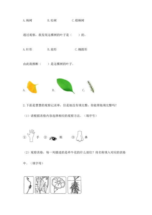 教科版科学一年级上册第一单元《植物》测试卷附完整答案【考点梳理】.docx