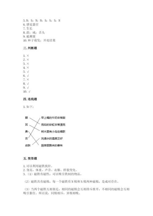 教科版小学科学二年级下册 期末测试卷（精品）.docx
