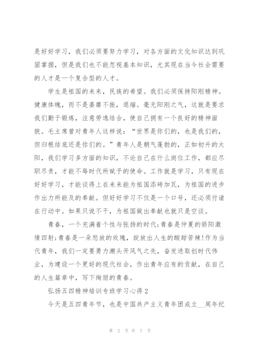 弘扬五四精神培训专班学习心得2022.docx