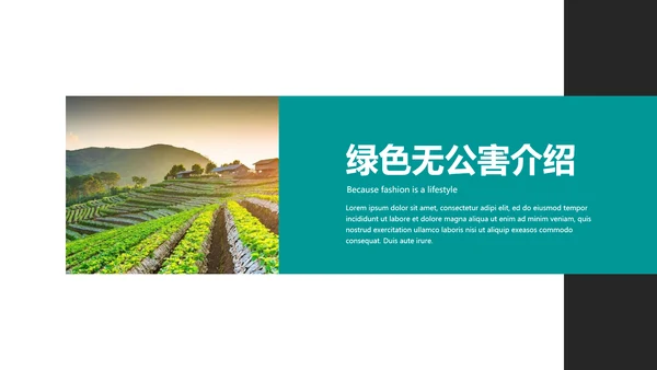 绿色农产品瓜果蔬菜农业主题通用PPT模板