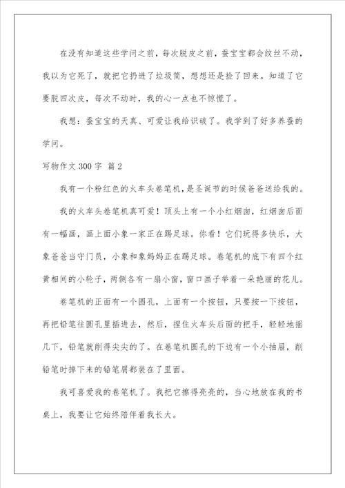 2022写物作文300字 47