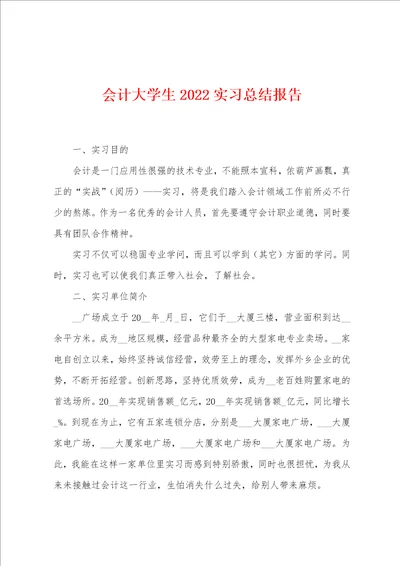 会计大学生2022年实习总结报告