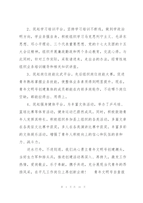 自检自查报告范文.docx