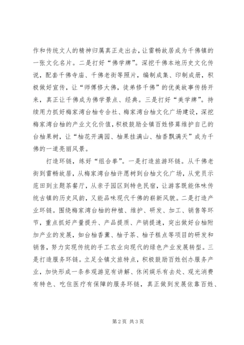 党建引领文旅工作发展经验小结.docx