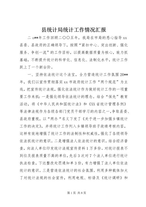县统计局统计工作情况汇报.docx