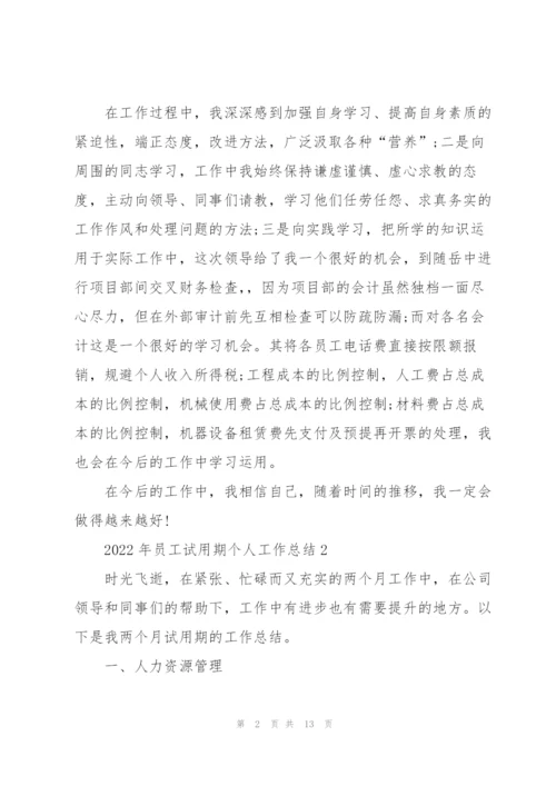 2022年员工试用期个人工作总结范文.docx