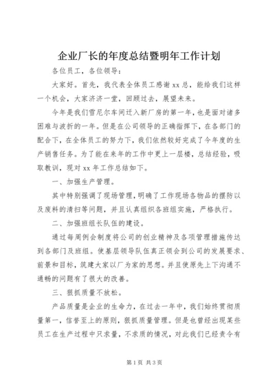 企业厂长的年度总结暨明年工作计划.docx