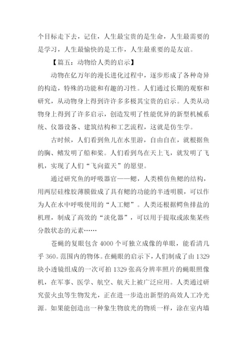 什么的启示作文450字.docx