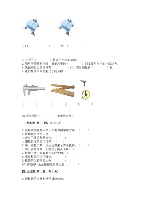 教科版一年级上册科学期末测试卷含解析答案.docx