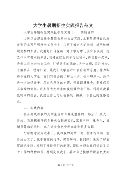 大学生暑期招生实践报告范文.docx