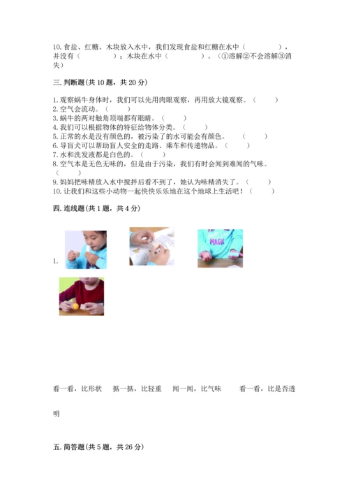 教科版一年级下册科学期末测试卷精品（巩固）.docx