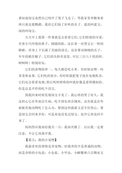 我的小宠物作文400字.docx