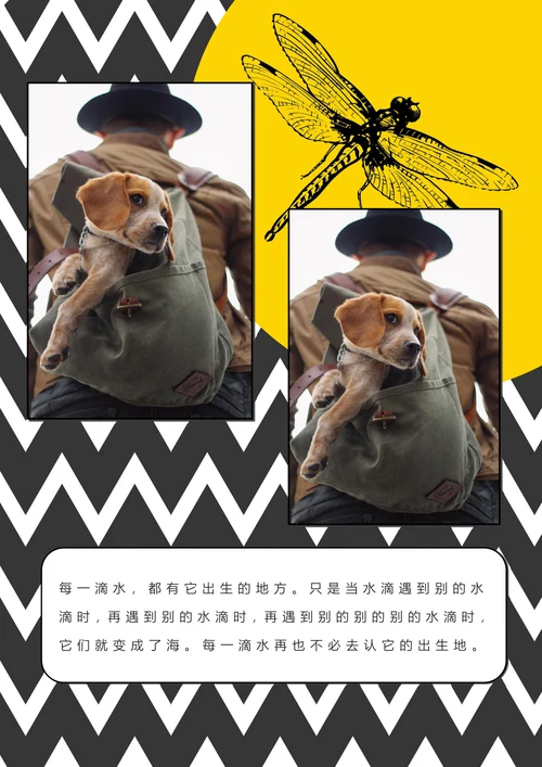 相册潮流商务风艺术风画册纪念册照片集
