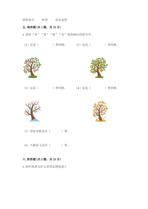 教科版二年级上册科学期末测试卷【典优】.docx