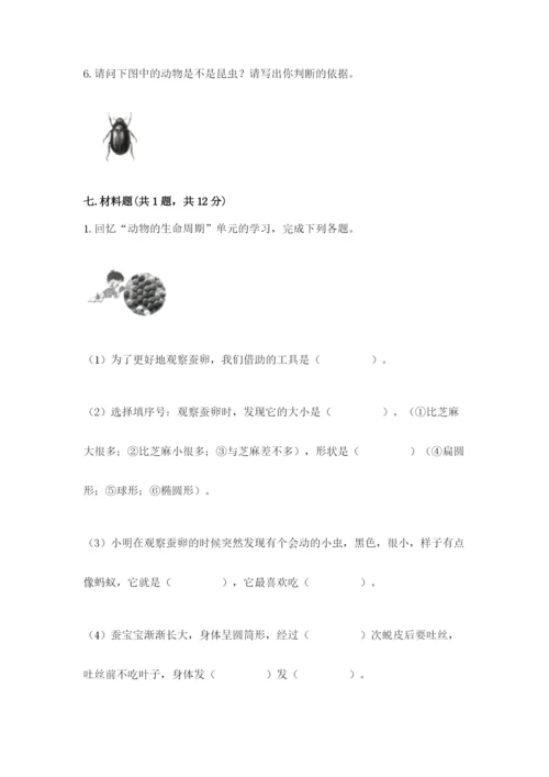 教科版三年级下册科学期末测试卷及参考答案.docx