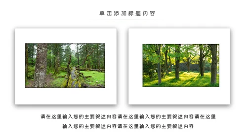 环境保护生态森林森业PPT动态模板