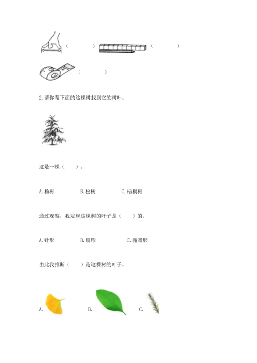 教科版科学一年级上册期末测试卷精品（预热题）.docx